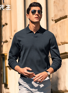 MrBu布先生海鸥领提花保暖羊毛衫秋冬纯色可机洗男款毛衣BT12512