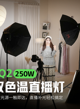 锐鹰AFEFT系列SQ2拍摄视频直播带货短视频抖音快手直播电商直播250W可调色温保荣口LED常亮补光灯