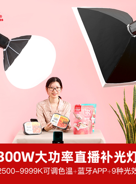 锐鹰DSL-300TD大功率300W网红直播灯2500-9999K可调色温摄像补光灯LED影视电商主播灯美妆服饰珠宝家装通用