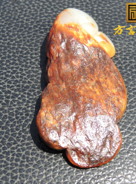 枣红沁皮双色全玉种白玉籽料龙龟