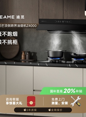 追觅跨界欧式大吸力自清洗油烟机