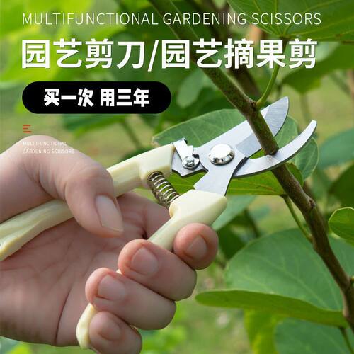 园艺修枝剪鲜花剪刀花艺剪园艺园林剪盆栽嫁树枝剪刀