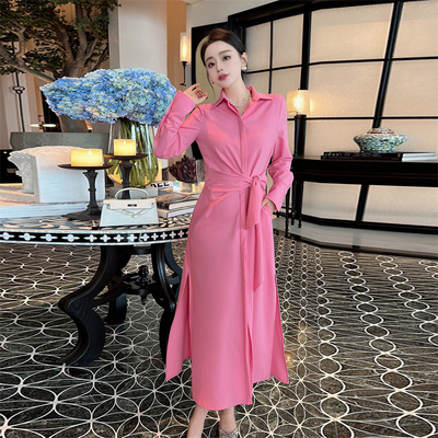 欧洲站2025春夏季新款高级设计感收腰气质长裙女衬衫领长袖连衣裙