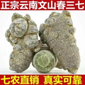 正宗云南文山春三七特级40头30头野生田七滑头无剪口批发正品 500g