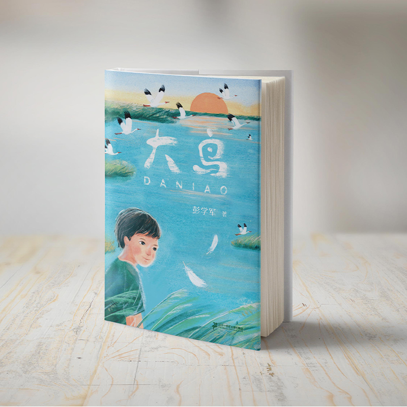 大鸟彭学军著4-6高年级