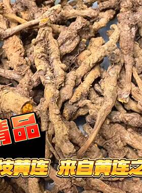 重庆石柱黄水黄连之乡黄莲干黄连精选单枝
