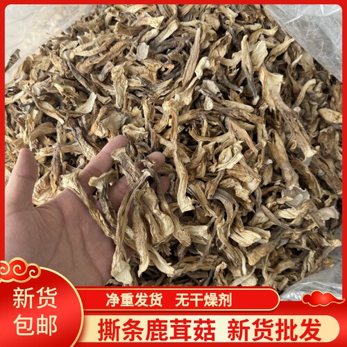 鹿茸菇干货散装商用批发
