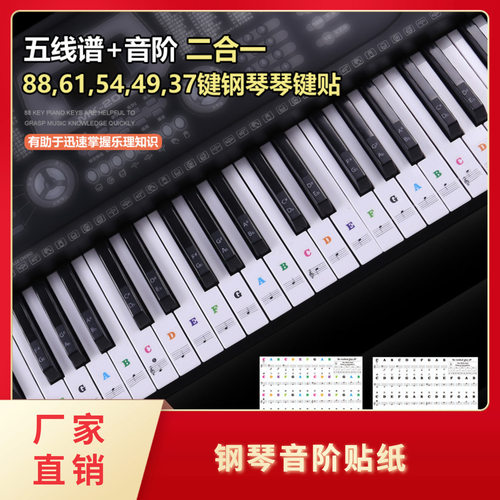 61键钢琴键盘贴纸88键钢琴琴键贴纸电钢琴电子琴键盘透明音阶