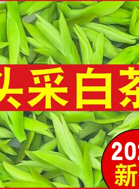 2025新茶明前头采特级白茶正宗嫩芽高档高山绿茶叶浓香罐装礼盒装