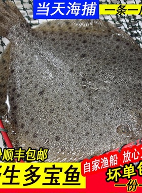 海鲜水产鲜活多宝鱼野生海鱼平鱼鲽鱼鳞平鱼活体冷冻3斤包邮500g