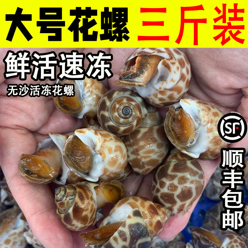 花螺鲜活 新鲜特大冷冻大花螺东风螺小海螺商用贝类海鲜水产3斤装