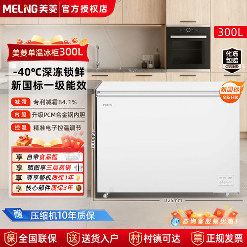 美菱冰柜300L家用商用大容量节能