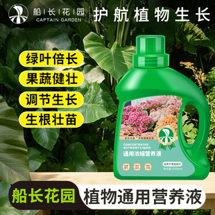 营养液植物通用型花肥发财树富贵竹绿萝水培绿植花卉盆栽养花肥料