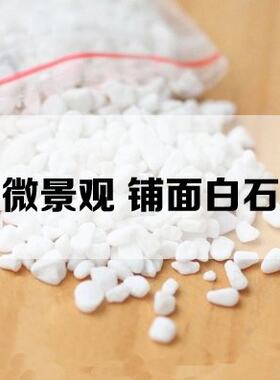 铺面小白石多肉植物苔藓微景观盆栽花卉水培植物装饰小石子鱼缸石