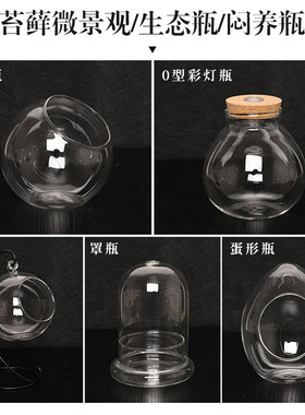苔藓多肉微景观diy生态瓶闷养