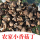 神农土货房县特产舌尖上香菇真菌炖汤送礼农家香菇250克