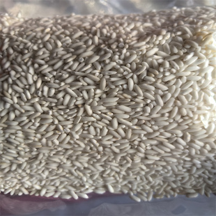 长粒糯米江米 清香软糯农家自种杂粮 八宝粥米粽子米酿米酒500g