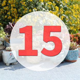 直播专用链接15号