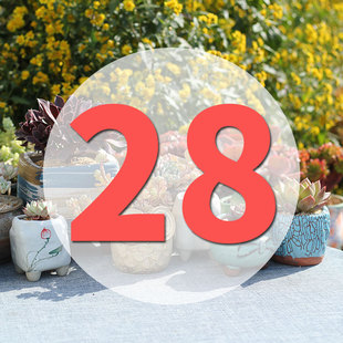 直播专用链接28号