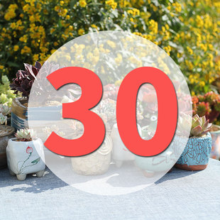 直播专用链接30号