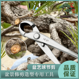 斜口 球节剪不锈钢盆景修剪造型专用工具叶芽剪球形剪制作210套装