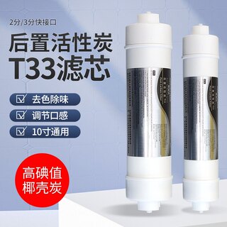 净水器大小T33后置滤芯椰壳活性炭2分3分家用直饮纯水机口感抑菌