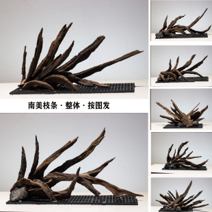 南美鱼缸造景沉木半岛枝条沉木组合鱼缸装 饰大小鱼缸布景沉木造景