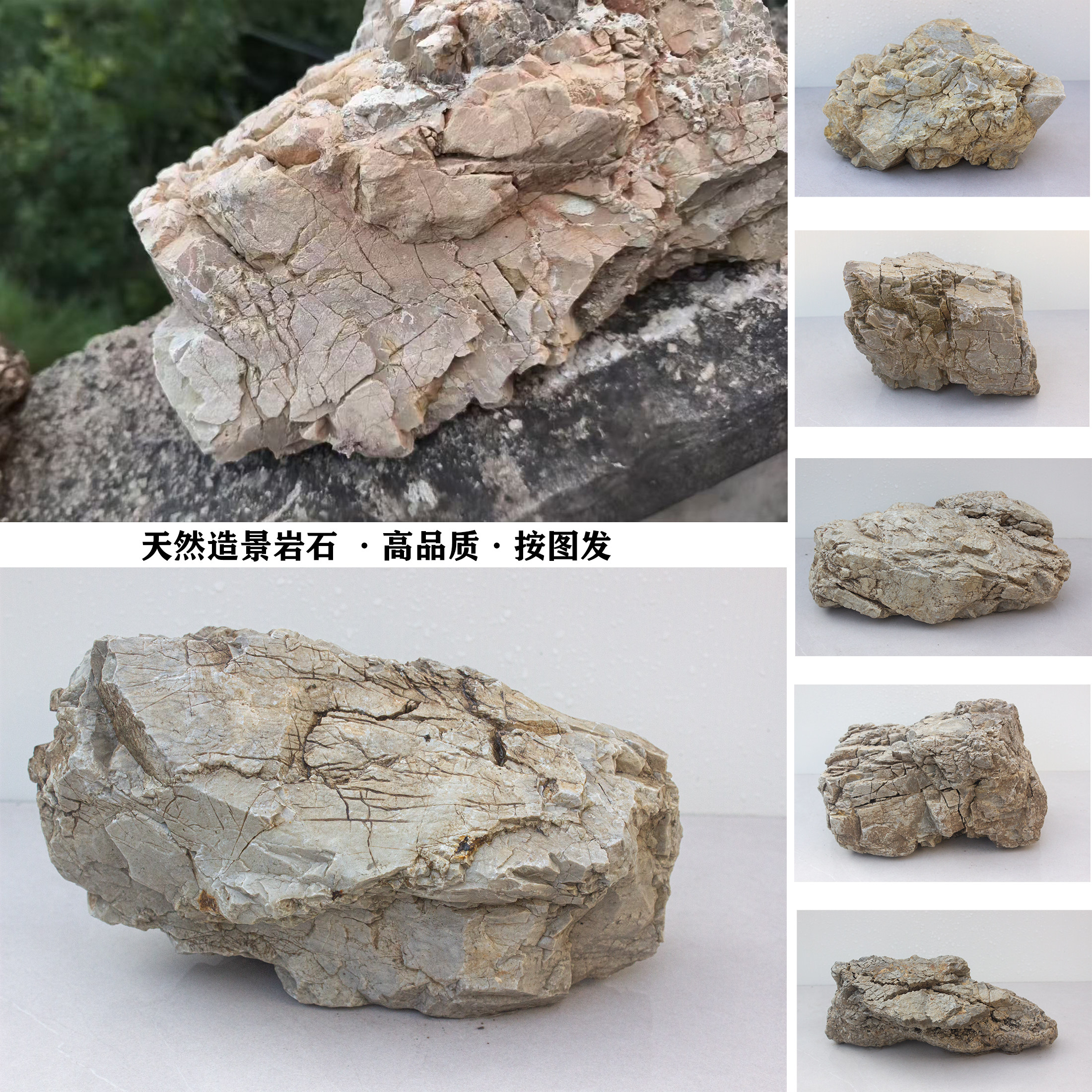 鱼缸造景石龟纹石白云石刀砍稳天然造景石龟晒石多层石草缸主石