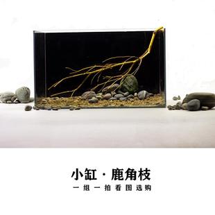 小缸造景鹿角枝原生缸布景南美鹅卵石造景鱼缸装饰小树枝造景组合