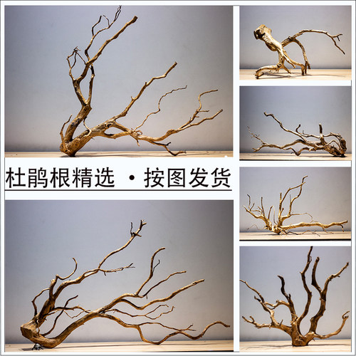 树根树根鱼缸造景树桩精品