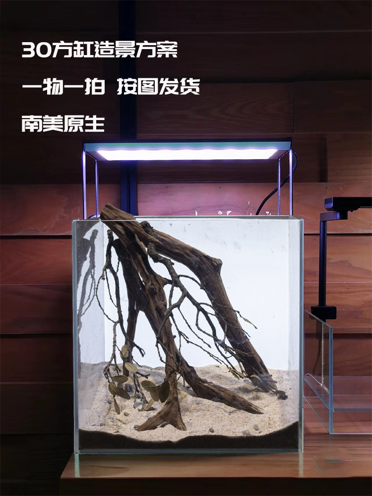 鱼缸造景溪流石30厘米方缸造景木南美原生沉木组合小鱼缸溪流缸