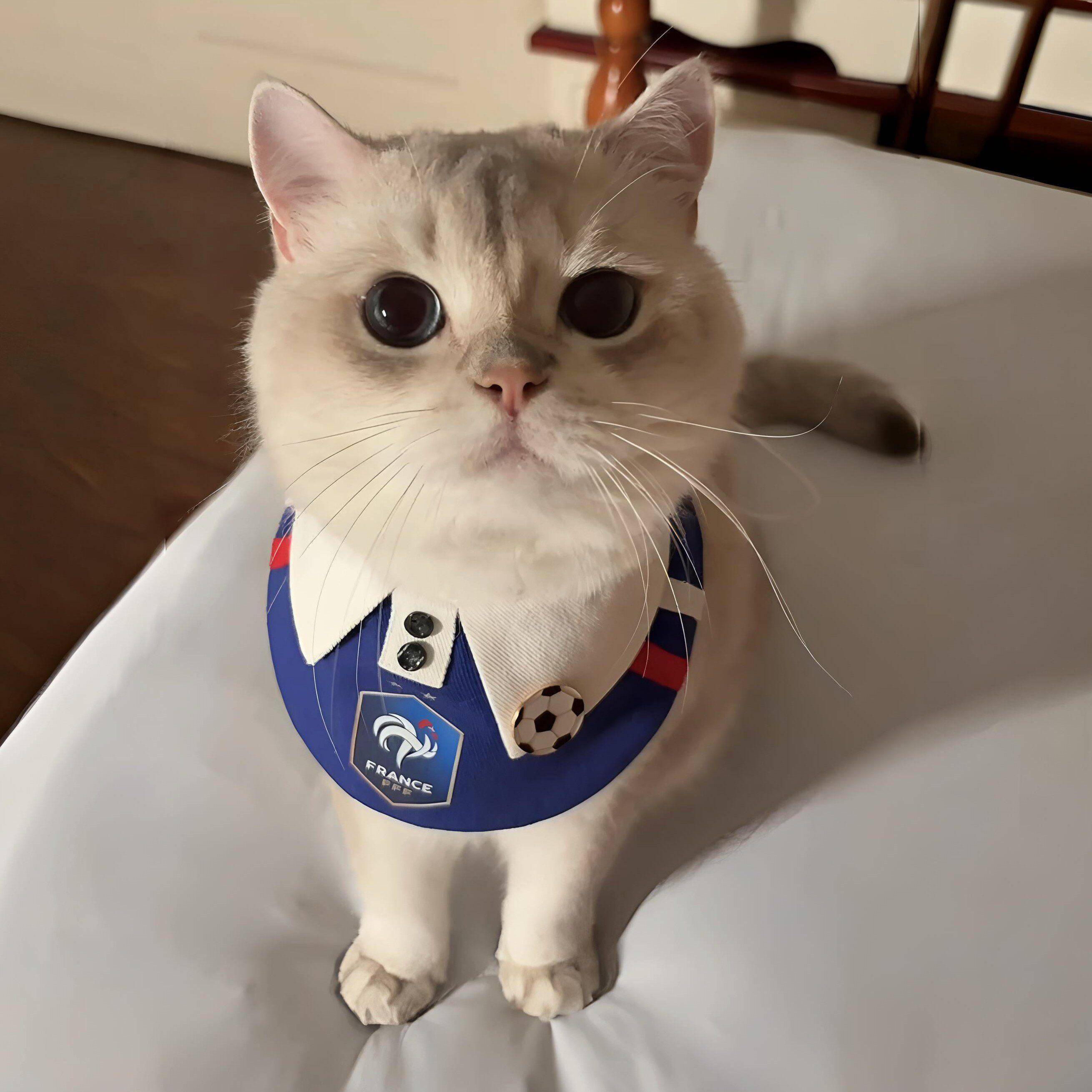 猫咪球衣围兜2026足球世界杯宠物周边口水巾高颜值个性狗狗领巾