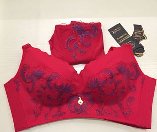 向大大新品内衣洪色文胸套装刺绣高端无痕聚拢效果好收副乳包邮