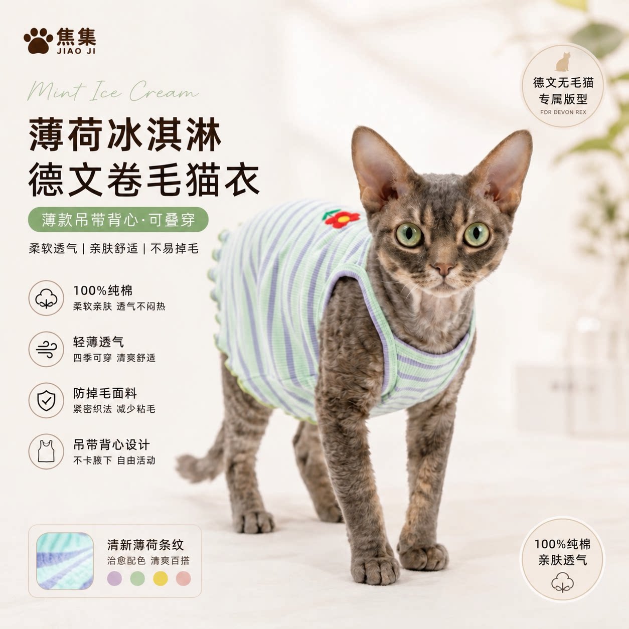 德文卷毛猫衣服纯棉吊带背心