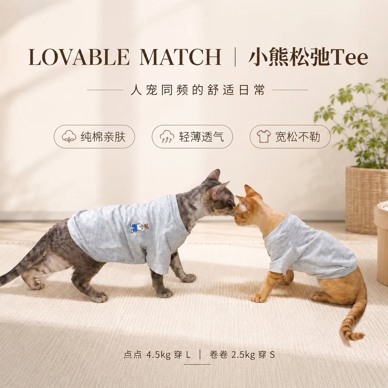 德文猫衣服德文卷毛猫亲子装T恤