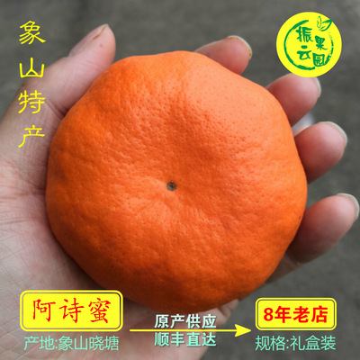 皮薄振云果园象山柑橘常温甘平