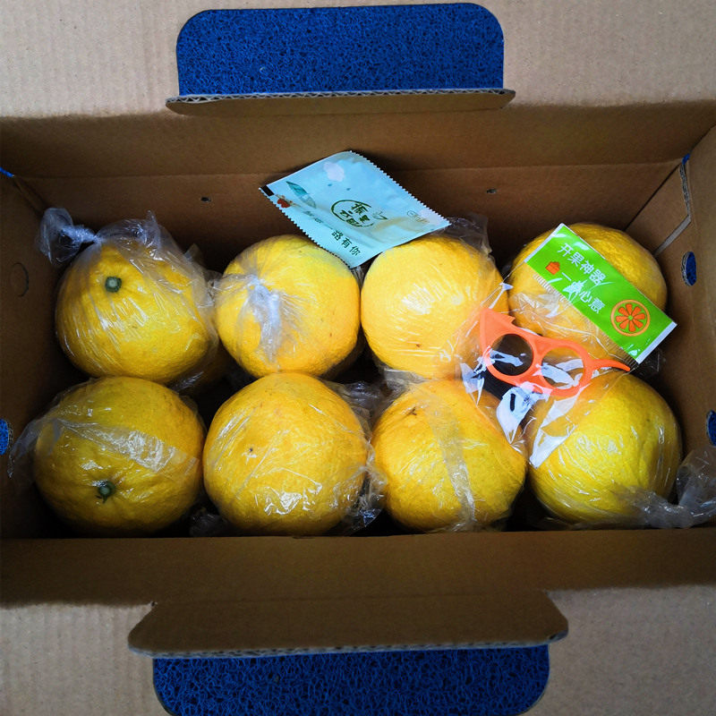 象山青美人春香柑橘甜柠檬黄金贡柚甜蜜桔孕妇新鲜水果江浙沪包邮