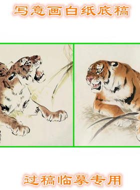 3LJL51老虎猛兽类国画写意画底稿白纸实物画稿临摹过稿条幅