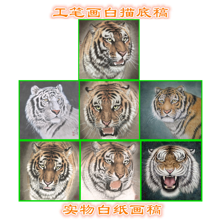 3G81虎头猛兽动物画稿写意画白描底稿过稿临摹专用斗方