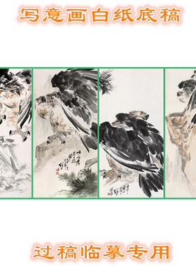 3LJL21猛禽类画稿雄鹰老鹰动物写意画底稿适合过稿临摹用条幅