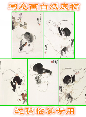 3LJL71兔子动物写意画白纸底稿实物国画稿临摹过稿条幅