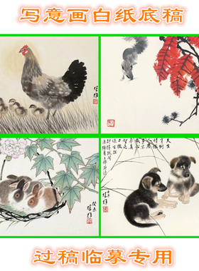 方楚雄写意花鸟动物白描底稿画稿
