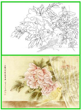 11B23高清大图工笔作业国画牡丹条幅白描线描实物打印稿横幅小品