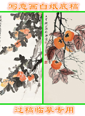 柿子瓜果写意画白描国画花鸟底稿