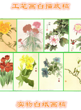 花卉工笔画底稿步骤图