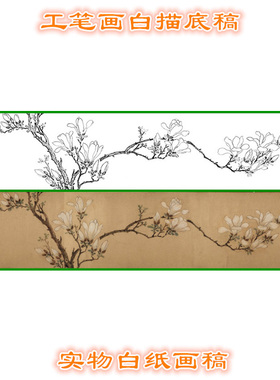 工笔画白描底稿玉兰图文征明花鸟
