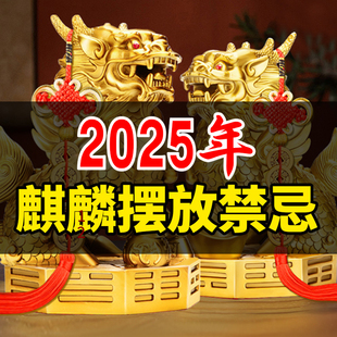 铜麒麟摆件一对八卦火麒麟公母入户玄关装 饰工艺品办公室客厅摆饰