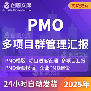 企业PMO项目建设规划咨询数字化转型进度管理方案多项目汇报模板