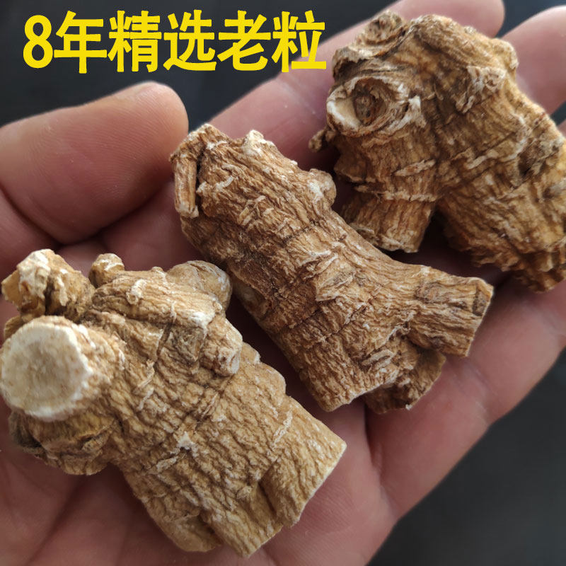 20克花旗参粒头进品西洋参特大圆粒短粒大条洋参段洋参正品