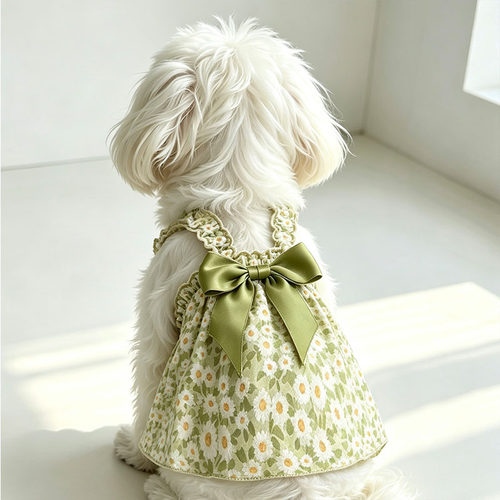 宠物公主风吊带连身裙狗狗猫咪衣服夏秋小裙子小型犬泰迪比熊博美